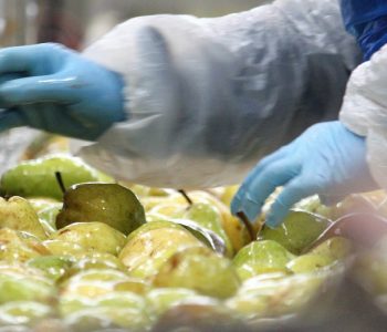 Rogelfrut lavorazione pere