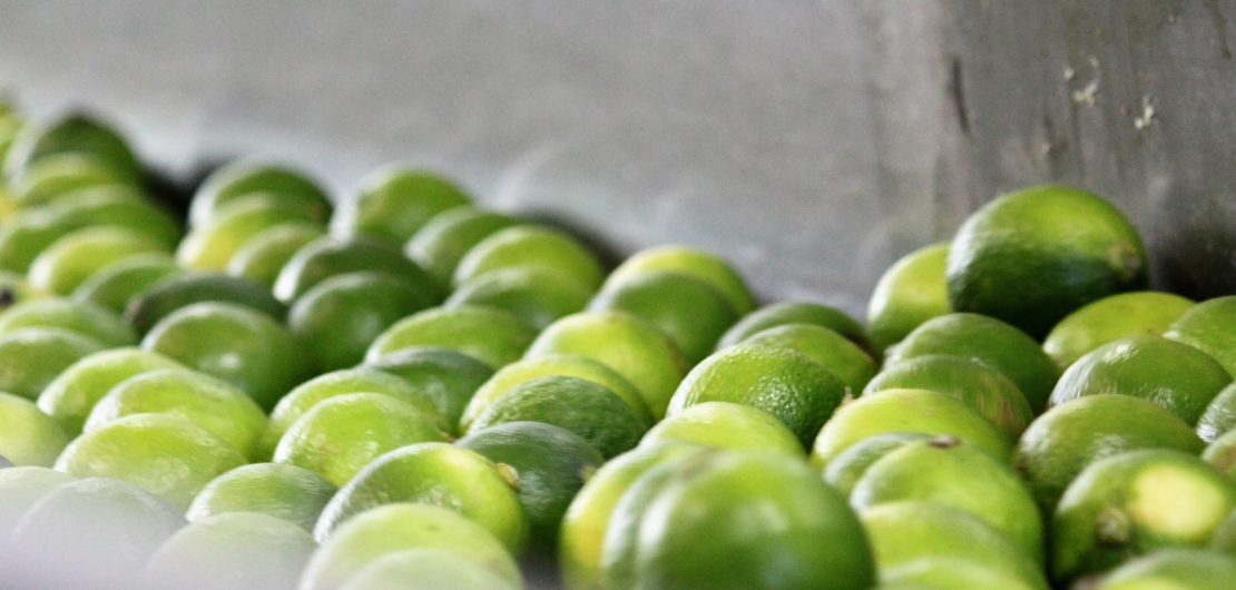 produzione succo di lime