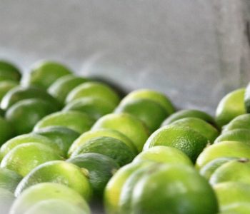 produzione succo di lime
