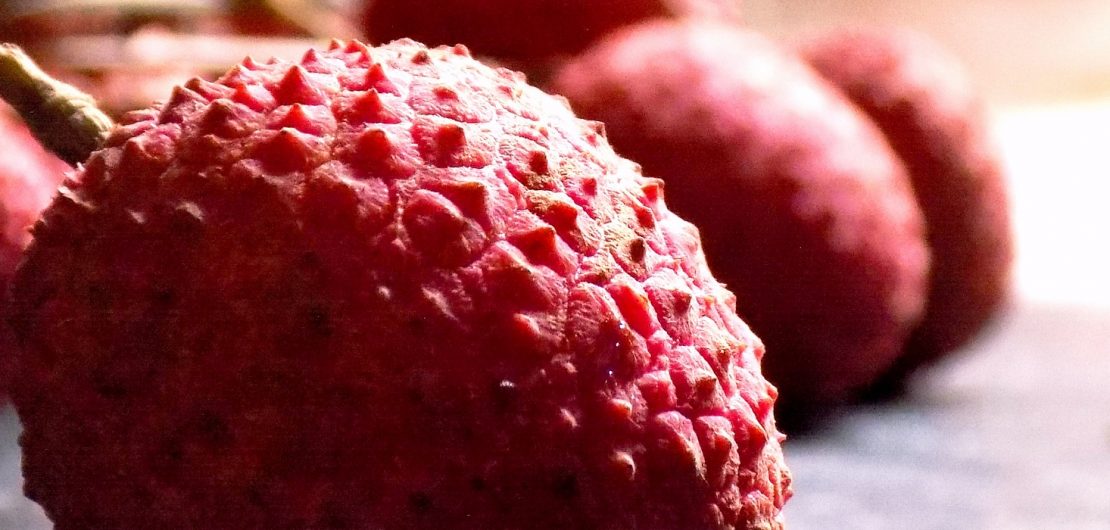 ricetta sorbetto lychee