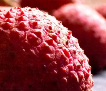 ricetta sorbetto lychee