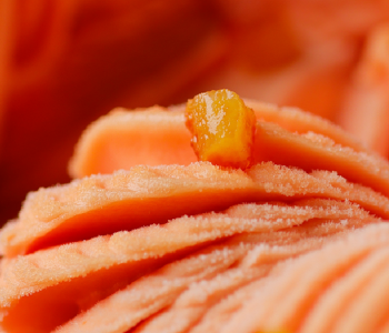 Sorbetto arancia rossa e Campari